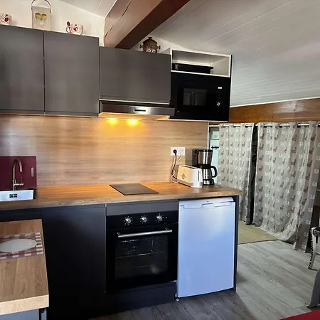 Apartment Pour 4 Pers. Au Coeur De L'alpe D'huez, Proche Telecentre, Animaux Acceptes - Fr-1-405-103 Alpe d'Huez